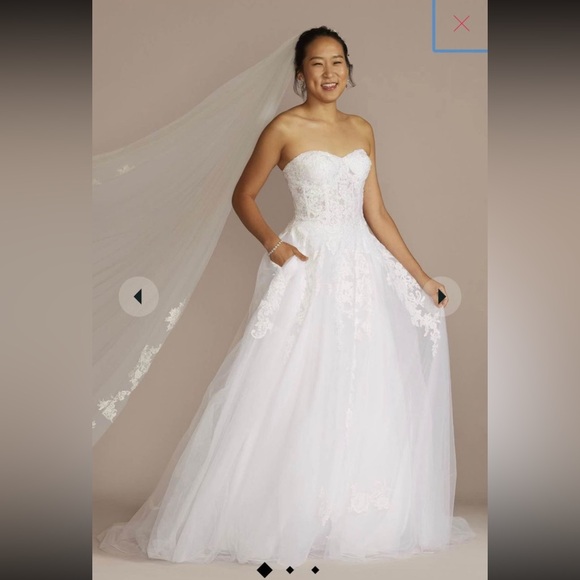 David’s Bridal - Lace & Tulle Ballgown Wedding Dress - Picture 9 of 9